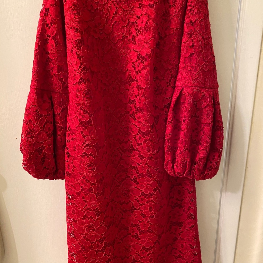 Elisa J knee length red lace cocktail dress